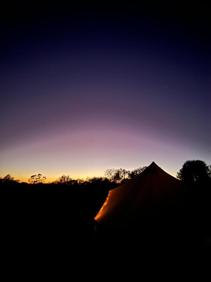 Motel Mungo Lodge 4*
