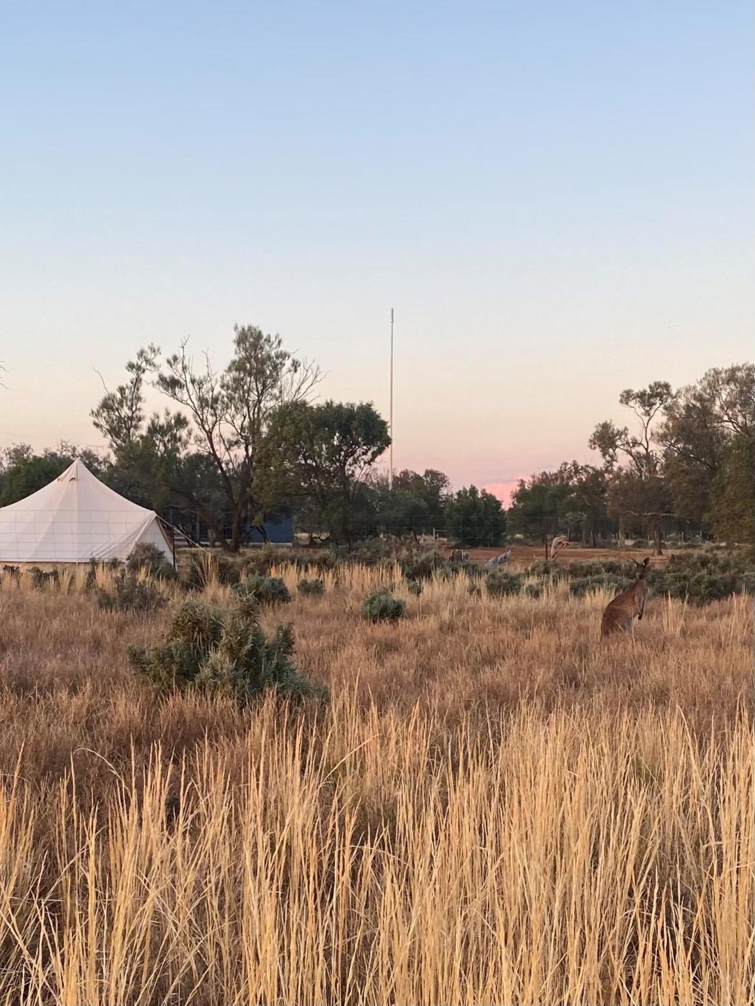 Motel Mungo Lodge 4*